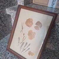 quadro con fiori secchi