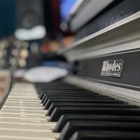 Rhodes Fender 54