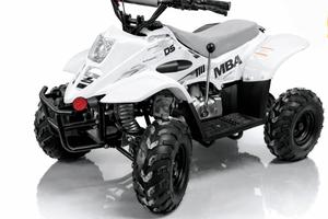 quad 110 