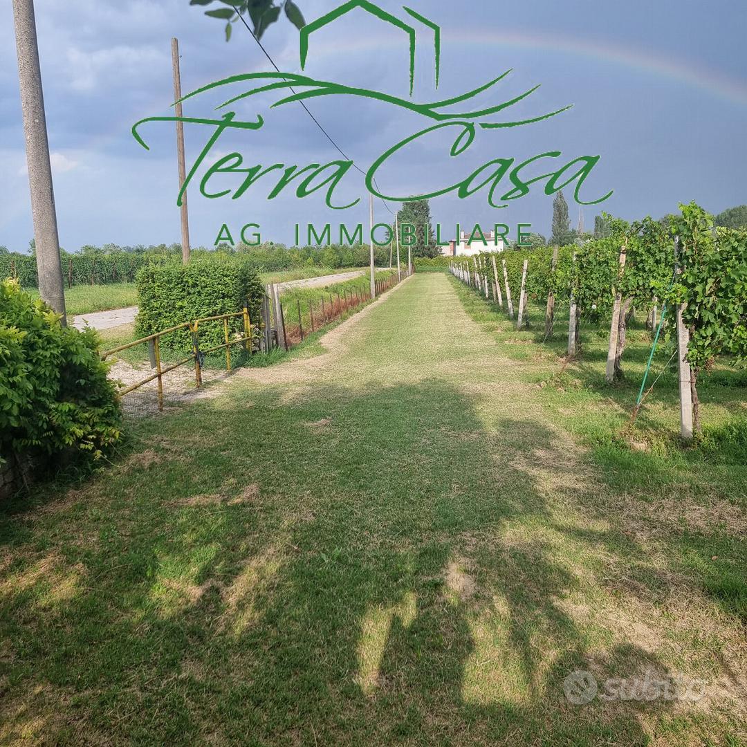 Terreno Agricolo a Motta di Livenza - Oppor - Vista 2