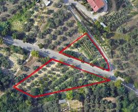 Terreno agricolo