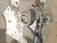 Immagine 7