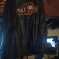giubbotto Harley Davidson 