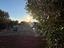 Immagine 10