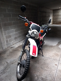 Honda xlr 500