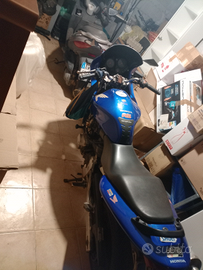 Hornet 600 s
