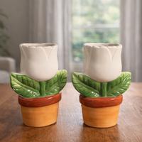 Umidificatori da termosifone in ceramica