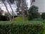 Immagine 17