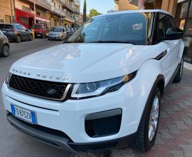 Range Rover Evoque 2.0 TD4 150 CV 5p. Business Edi