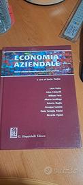 libro di economia aziendale  di Luciano Potito