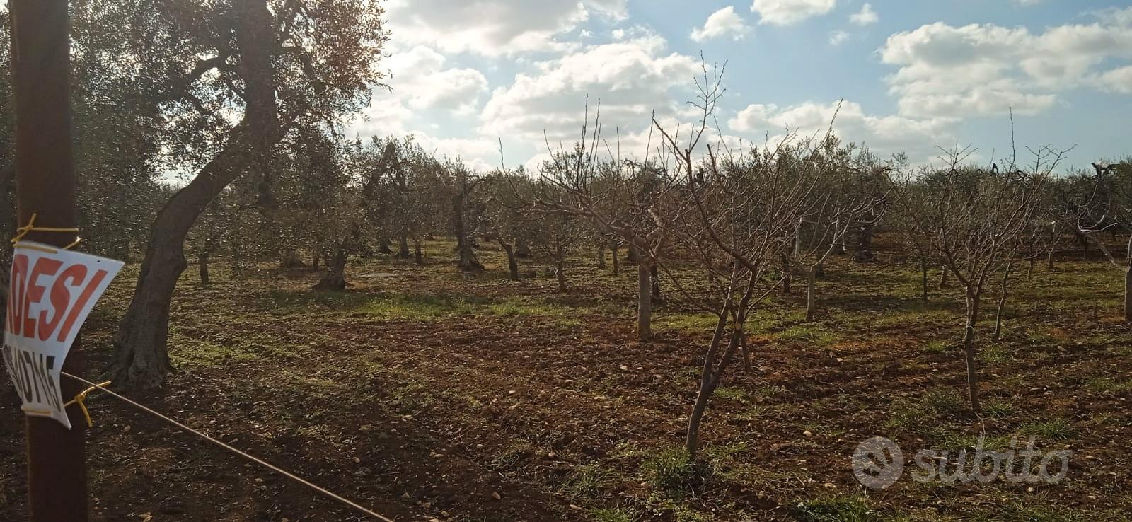 Terreno agricolo con impianto idrico - Vista 3