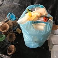 Accessori per allevamento uccelli