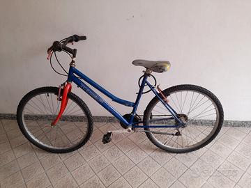 Bicicletta