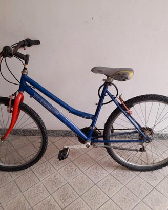 Bicicletta