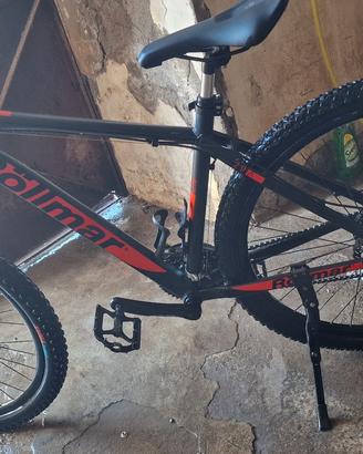 rollmar antares 29"