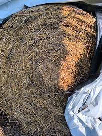 Balloni di fieno 120/150