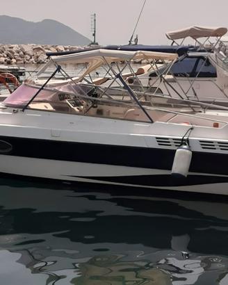 PETTERUTI 7 mt MERCURY 130 HP x 2