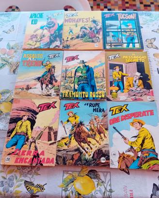 lotto fumetti : tex, zagor, disney & sturmtruppen