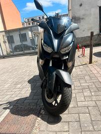xmax 300 iron max