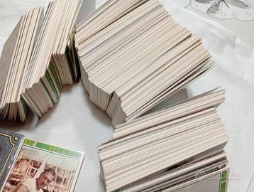 Figurine Panini Album  Campioni Sport Set completo