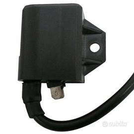 Bobina accensione motori Franco Morini