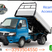 Ricambi Piaggio Porter Maxxi