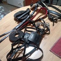 finimenti per pony o doppio pony 