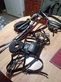 finimenti per pony o doppio pony 