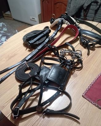 finimenti per pony o doppio pony 