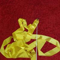 Nastro ginnastica