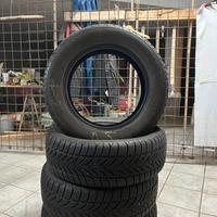 Gomme 225 60 17 invernali