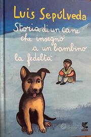 Storia di un cane che insegnò ad un bambino