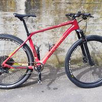 Rockrider xc 900 hardtail mtb