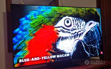 Samsung TV TOP GAMMA 4K 55"S 95 