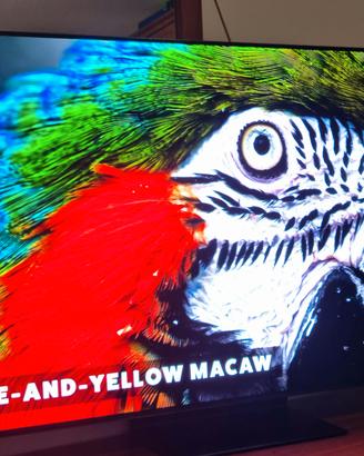 Samsung TV TOP GAMMA 4K 55"S 95 