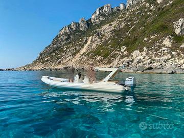 Gommone ALTAMAREA WAVE 27 + motore HONDA 250