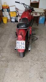 Gilera Dakota 350 - 1964