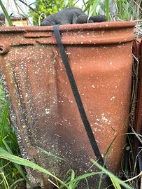 Coppi Wierer Domus – 900 pezzi (5 bancali) – Caric