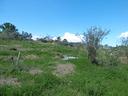 terreno-agricolo-panoramico-ter-32
