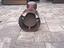 Immagine 2