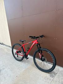 Bottecchia MTB 29’’