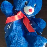 orsetto peluche blu
