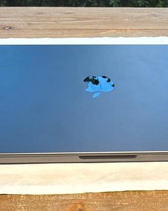 MacBook Pro 14' M2 Pro 10Core, RAM 16Gb, SSD 512Gb
