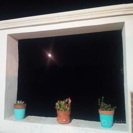 Nella campagna nell'alto Salento