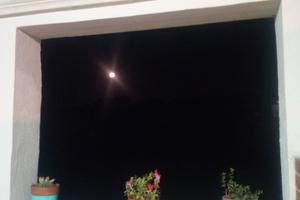 Nella campagna nell'alto Salento