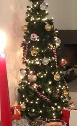 Albero di natale