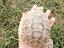 Immagine 3