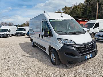 Opel movano frigo
