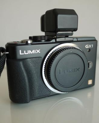 Panasonic LUMIX DMC-GX1 + LVF2