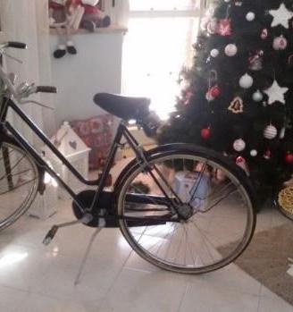 Bici con freni a bacchetta